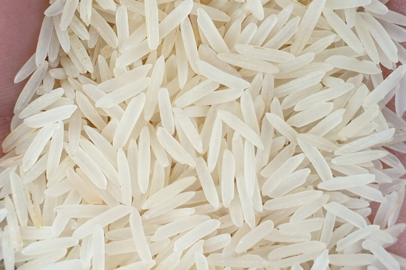 TerraGrain Premium Sella